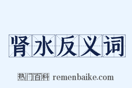 肾水反义词是什么意思的图片